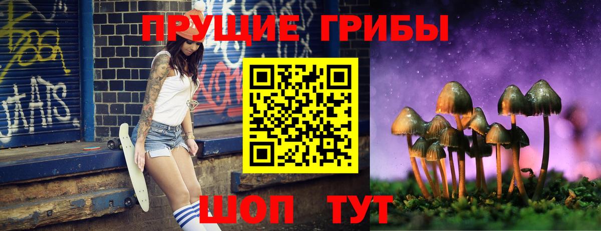 Псилоцибиновые грибы мицелий Сунжа