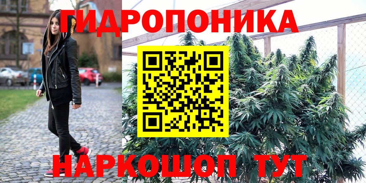 Бошки марихуана ГИДРОПОН Сунжа